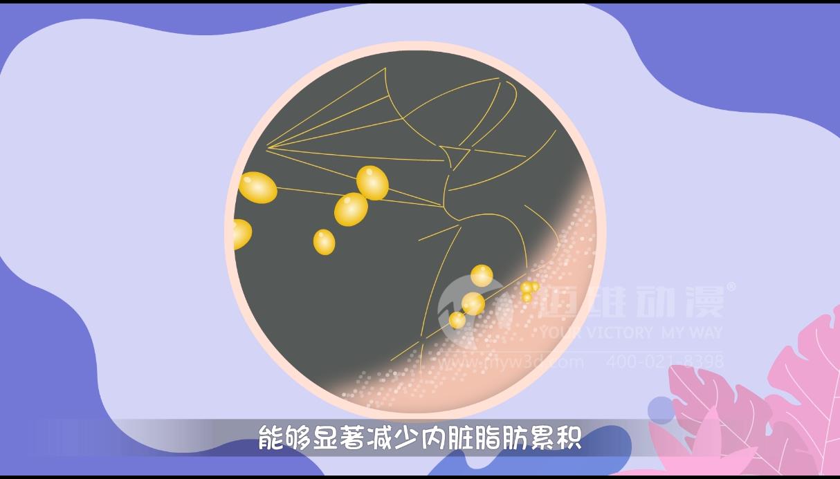 MG動畫，邁維動漫.jpg
